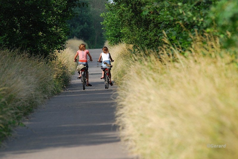 Lekker fietsen op de Hees.JPG - Lekker fietsen op de Hees